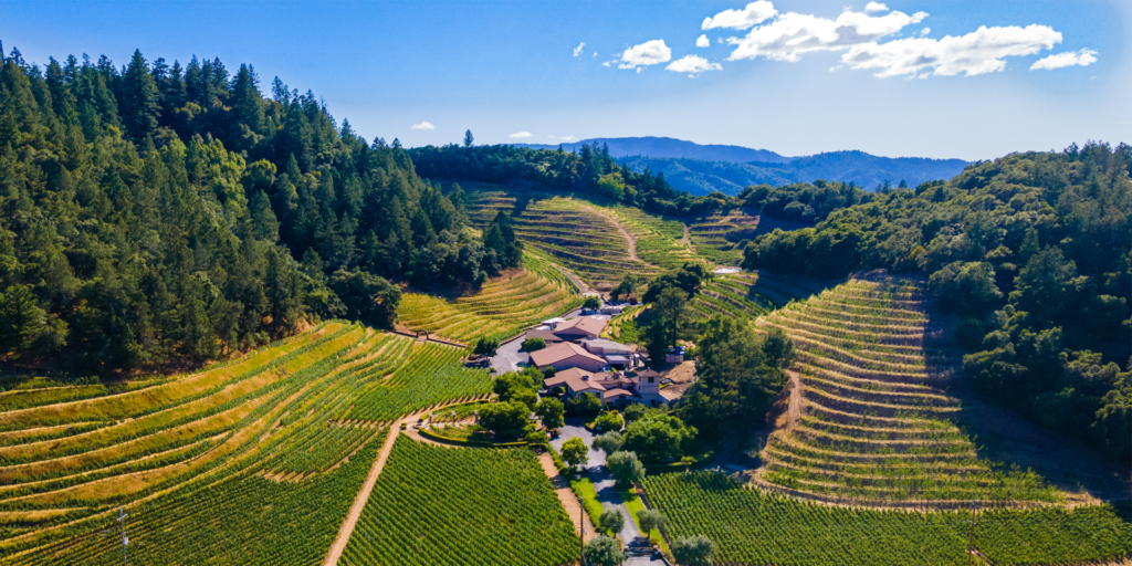 Experience Napa Valley Tasting & Tours - Enjoy Napa Valley Cabernet ...