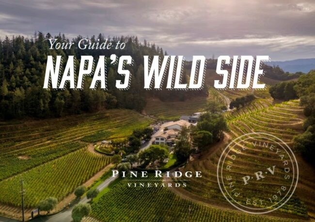 Aerial view of Pine Ridge Vineyards in Napa Valley with terraced vineyards surrounded by trees. The text reads Your Guide to Napas Wild Side and Pine Ridge Vineyards with a circular logo in the bottom right corner.